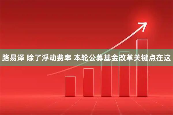 路易泽 除了浮动费率 本轮公募基金改革关键点在这