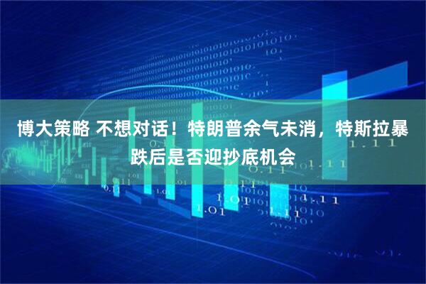 博大策略 不想对话！特朗普余气未消，特斯拉暴跌后是否迎抄底机会