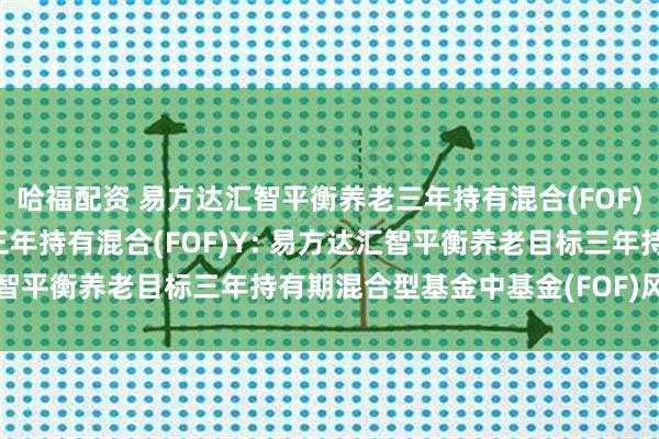哈福配资 易方达汇智平衡养老三年持有混合(FOF)A,易方达汇智平衡养老三年持有混合(FOF)Y: 易方达汇智平衡养老目标三年持有期混合型基金中基金(FOF)风险揭示书