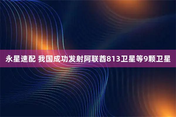 永星速配 我国成功发射阿联酋813卫星等9颗卫星