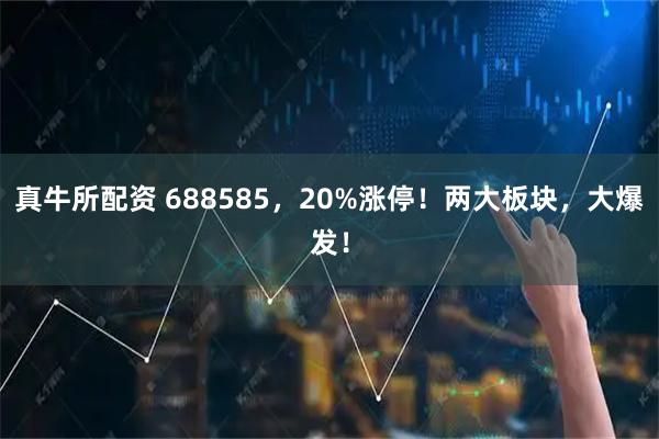 真牛所配资 688585，20%涨停！两大板块，大爆发！