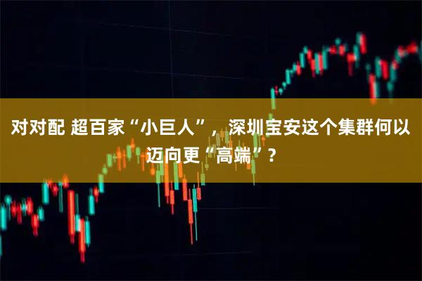 对对配 超百家“小巨人”，深圳宝安这个集群何以迈向更“高端”？